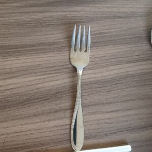 Oneida Fork